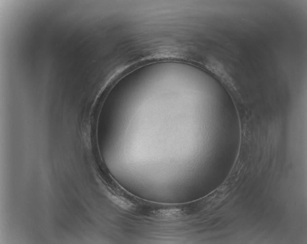 X0000060560108200511070958