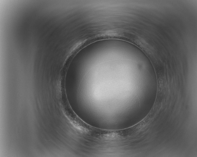 X0000060560112200511070958