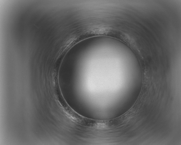 X0000060560114200511070958