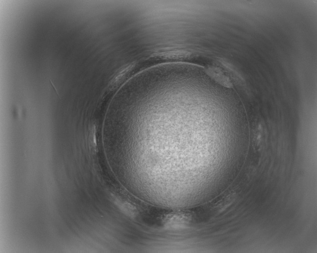 X0000060560115200511070958