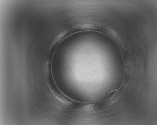 X0000060560116200511070958