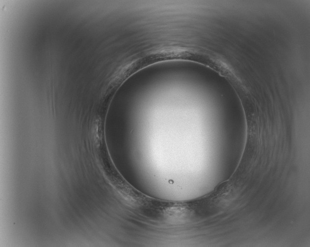 X0000060560119200511070958