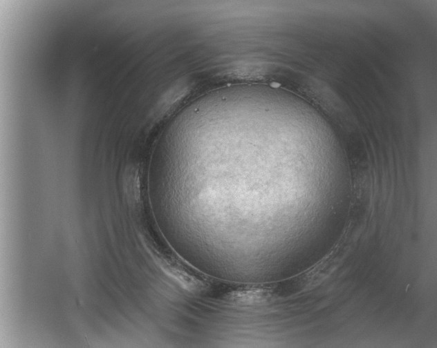 X0000060560120200511070958