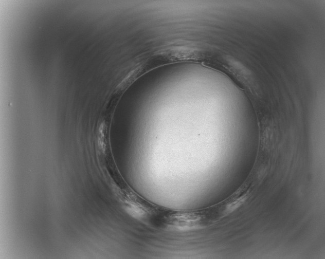 X0000060560121200511070958