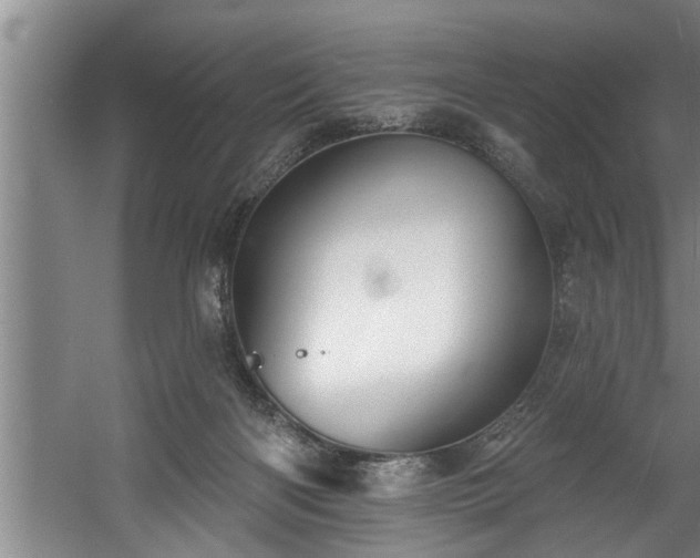 X0000060560122200511070958