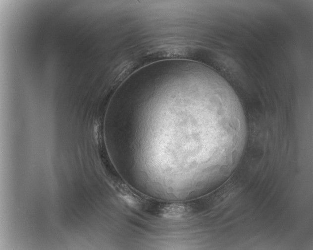 X0000060560123200511070958