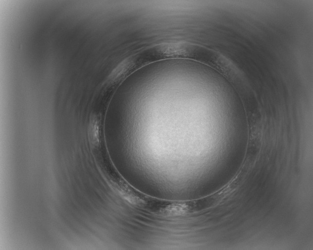 X0000060560124200511070958