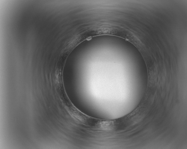 X0000060560126200511070958