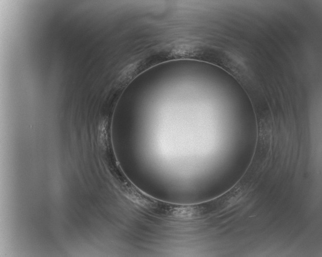 X0000060560127200511070958