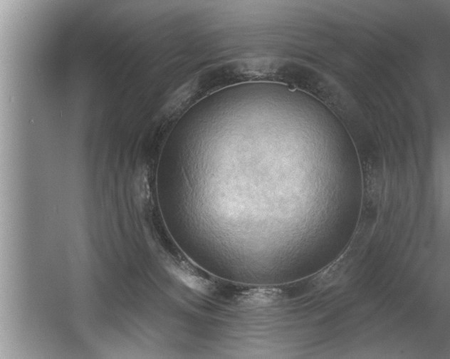 X0000060560128200511070958