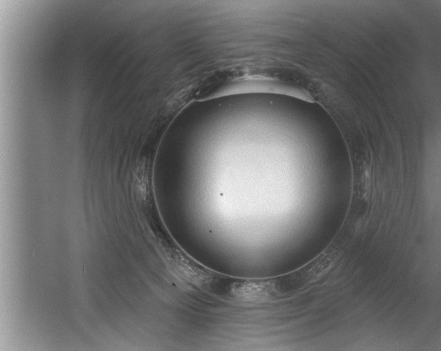 X0000060560129200511070958