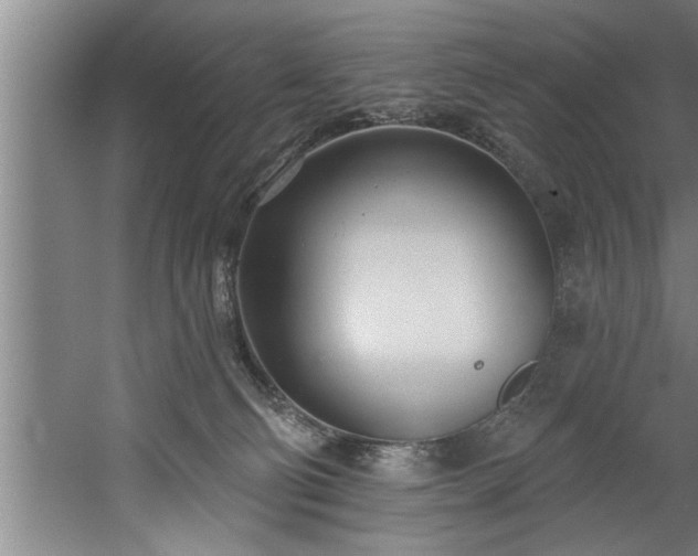 X0000060560130200511070958