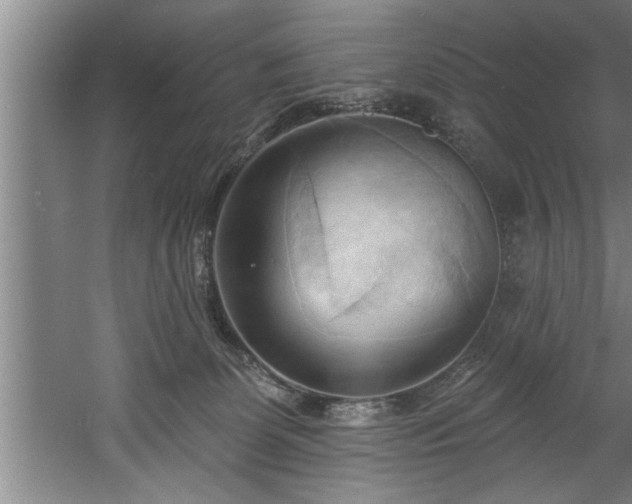 X0000060560131200511070958