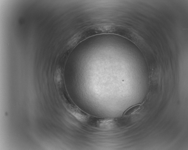 X0000060560132200511070958