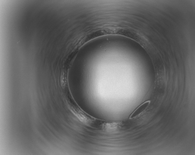 X0000060560134200511070958