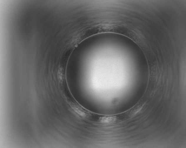 X0000060560135200511070958