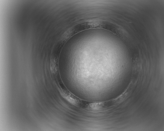 X0000060560136200511070958