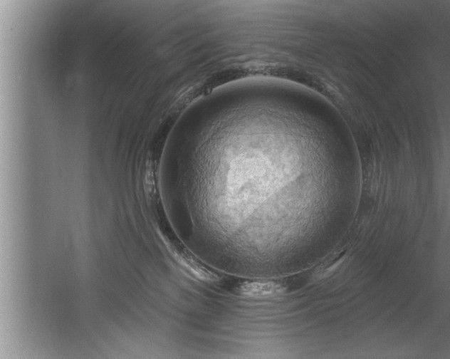 X0000060560137200511070958