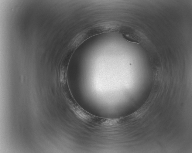 X0000060560138200511070958