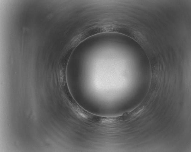 X0000060560139200511070958