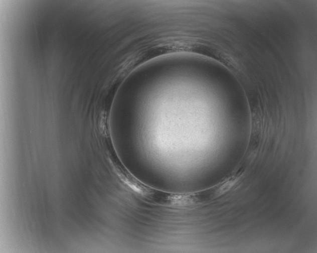 X0000060560141200511070958