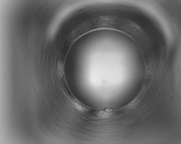 X0000060560142200511070958