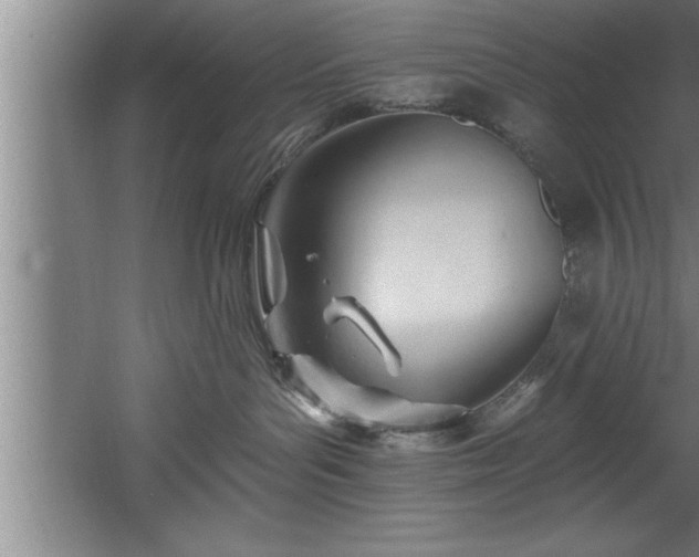 X0000060560143200511070957