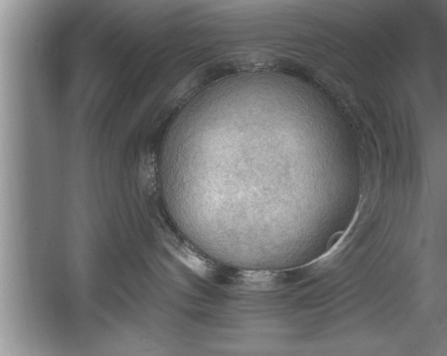 X0000060560144200511070957