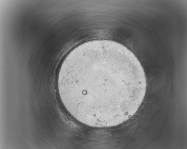 X0000060560146200511070957