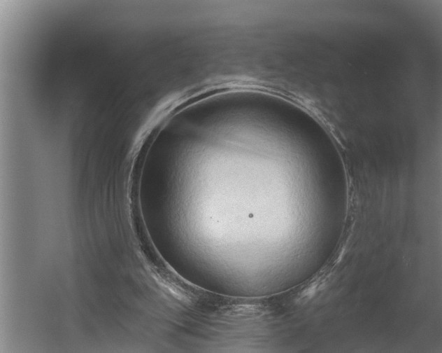 X0000060560151200511070957