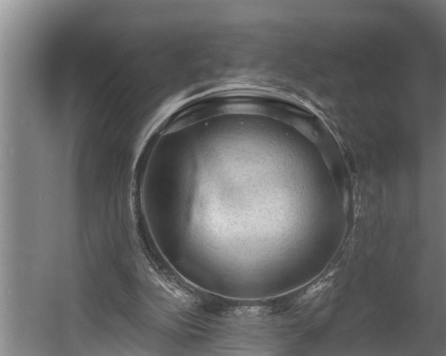 X0000060560152200511070957