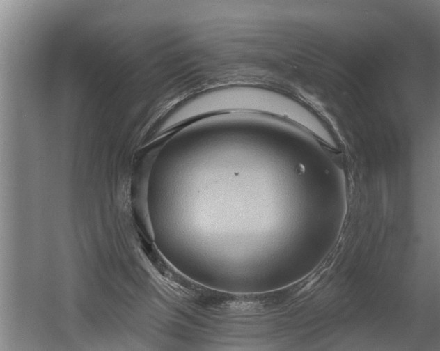 X0000060560154200511070957