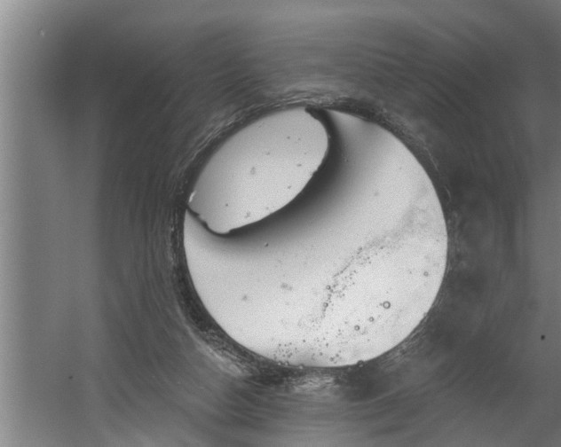 X0000060560162200511070957