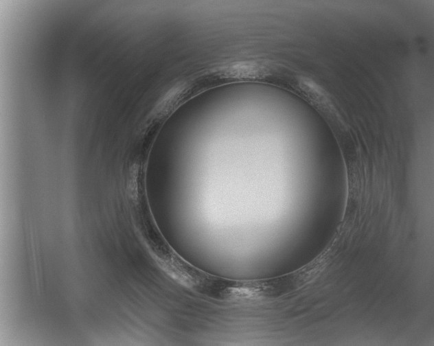 X0000060560167200511070957