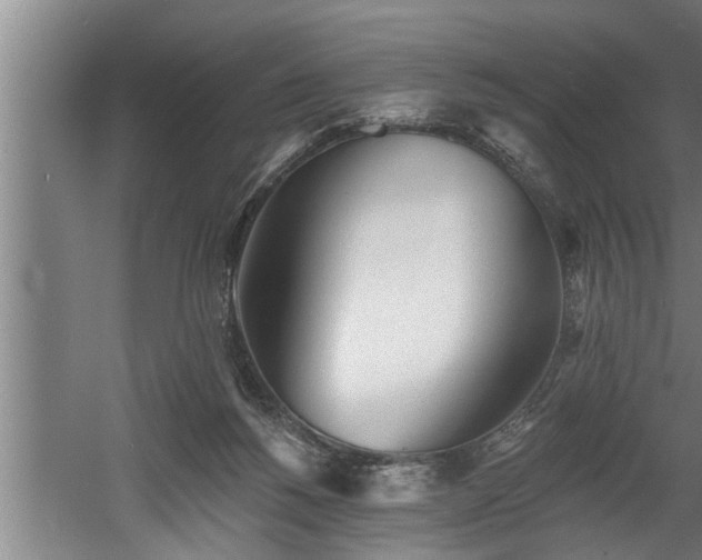 X0000060560168200511070957