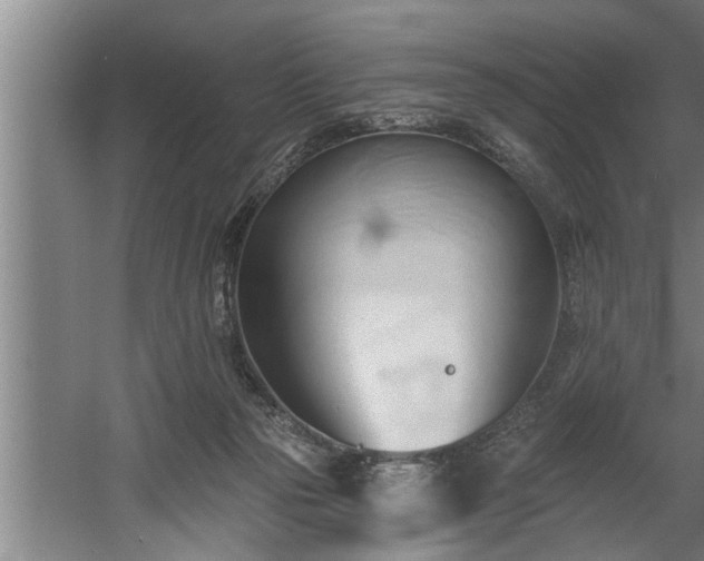 X0000060560169200511070957