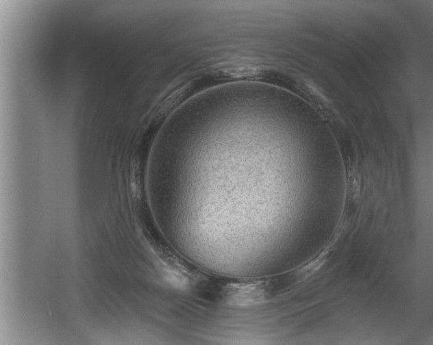 X0000060560170200511070957