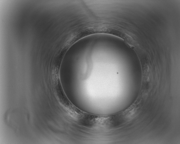 X0000060560172200511070957