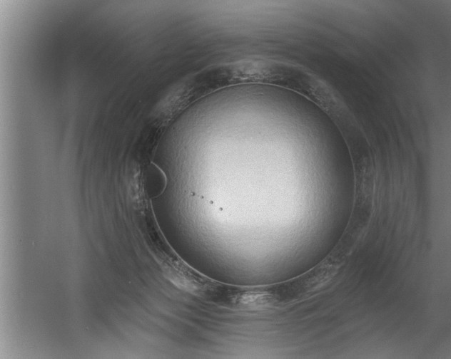 X0000060560173200511070957