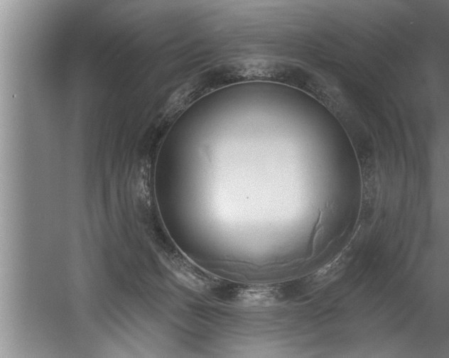 X0000060560175200511070957