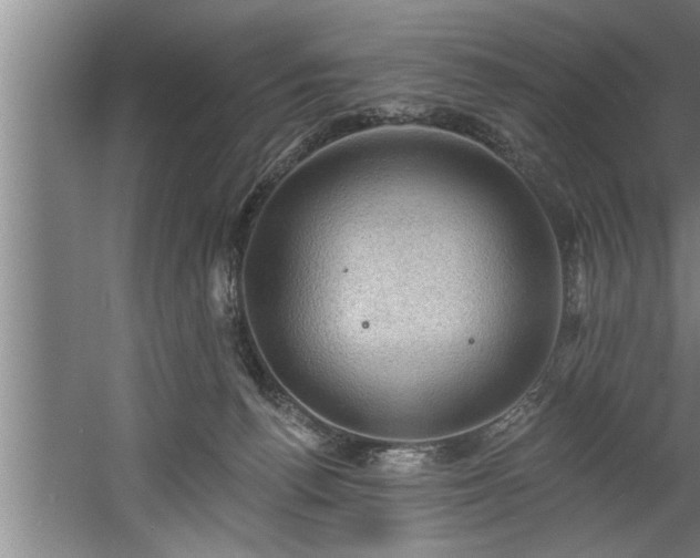 X0000060560176200511070957