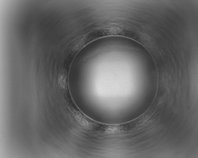 X0000060560177200511070957