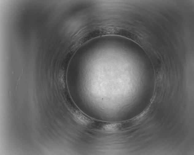 X0000060560178200511070957