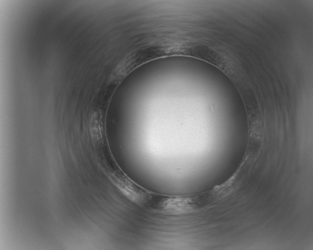 X0000060560179200511070957