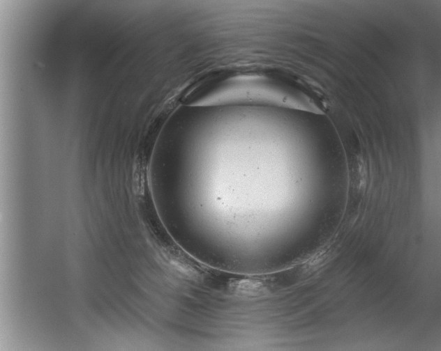 X0000060560180200511070957