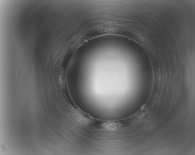 X0000060560181200511070957