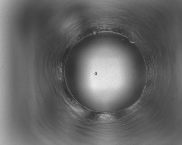 X0000060560183200511070957