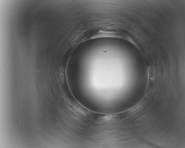 X0000060560184200511070957