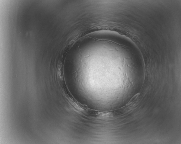 X0000060560185200511070957