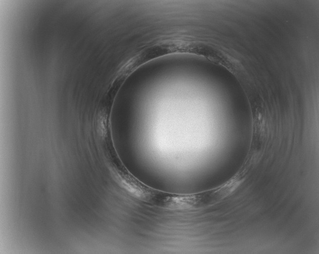 X0000060560188200511070957